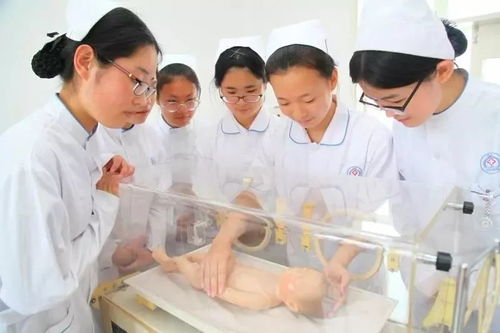 威海市衛(wèi)生學校 白衣天使的搖籃，中醫(yī)養(yǎng)生保健服務(wù)專業(yè)招生啟動